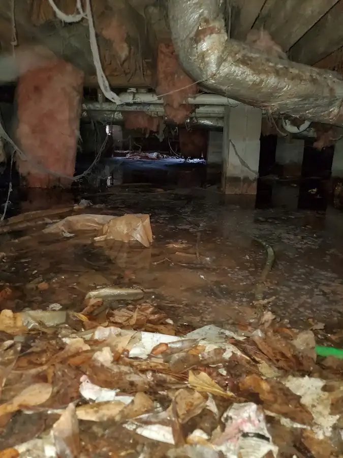 Crawl space flood assessment for Leak Detection & Repair in Rancho Palos Verdes