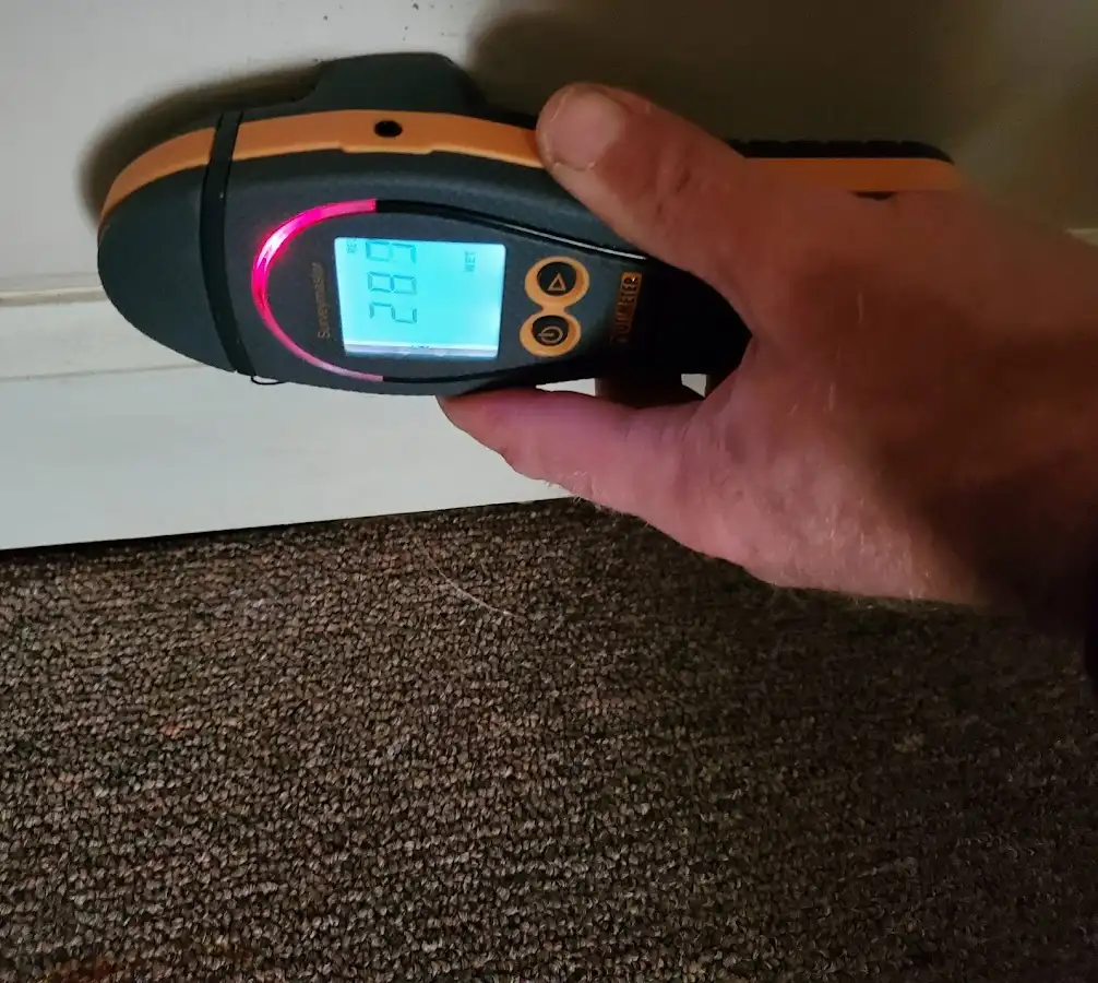 Moisture detection at baseboard during Sewage Cleanup & Sanitation in Rancho Palos Verdes